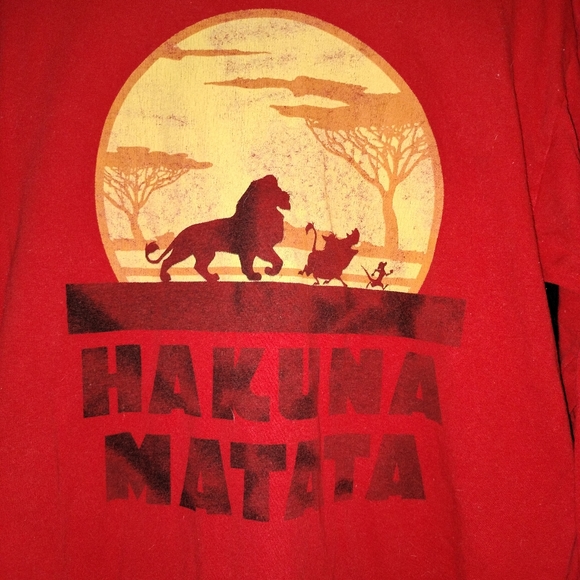 I am selling a long sleeve Hakuna Matata shirt! Size medium. In great condition! - Picture 1 of 3